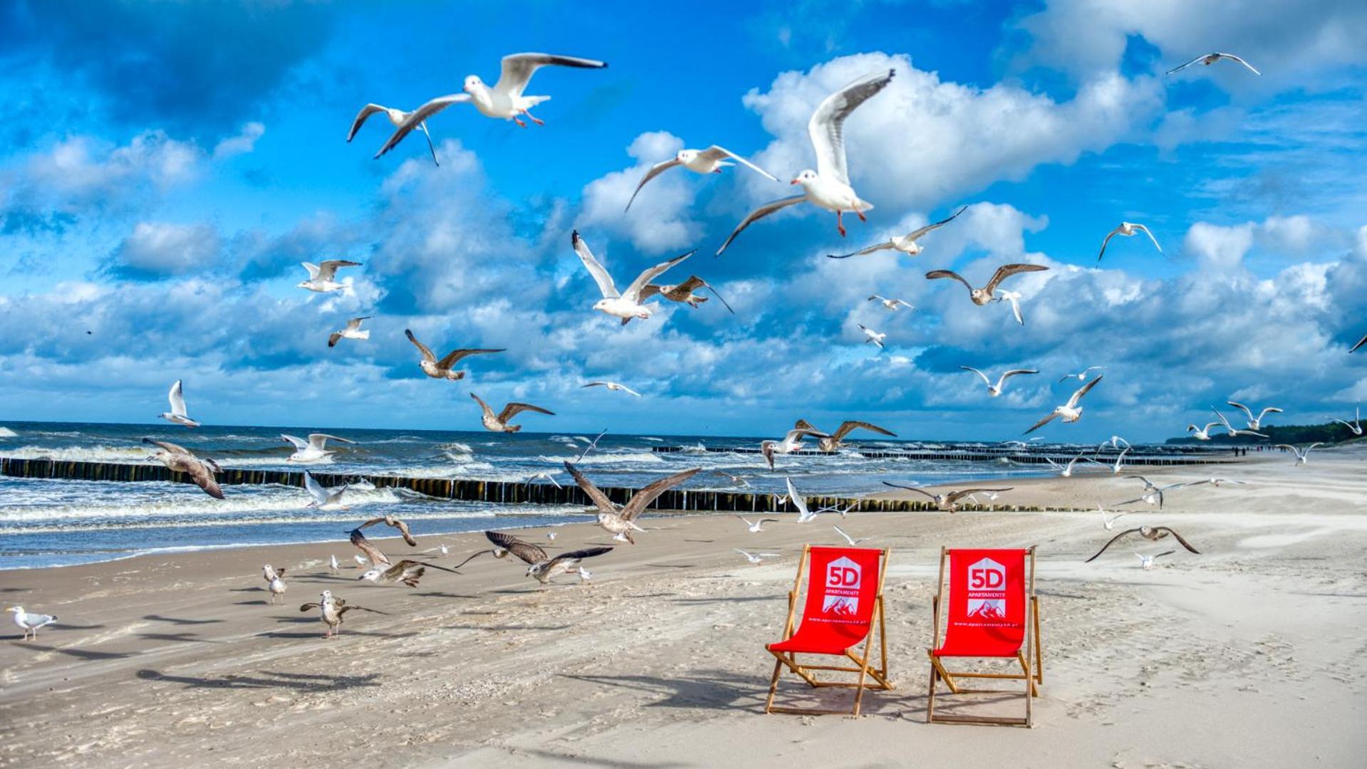 Rezydencja Niechorze 208 Z 2 Sypialniami I 2 Lazienkami Przy Plazy - 5D Apartamenty Bagian luar foto